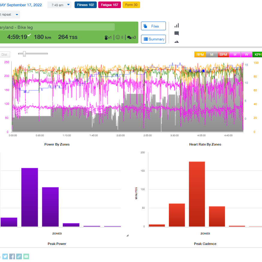 Race performance analysis and report
